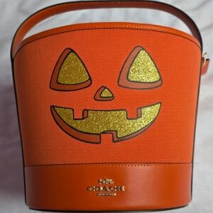 Coach Orange Halloween Bucket Bag